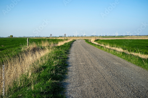 Rural road goes through the fields  against the backdrop of a blue sky and wind turbines  on a spring day. Country landscape.