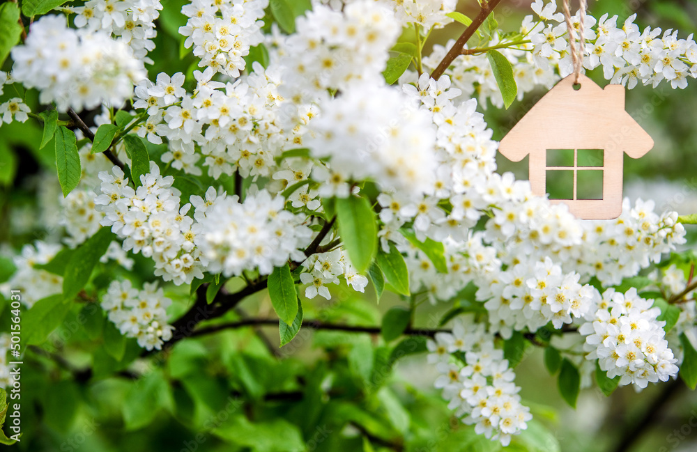 The symbol of the house among the branches of the Bird cherry
The symbol of the house among the branches of the Bird cherry