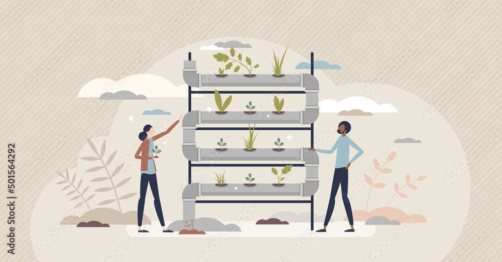 Hydroponic farming as sprouts and water pipeline farming tiny person concept. Sustainable agriculture and plant irrigation system with vertical modern pots wall vector illustration. Smart gardening.
