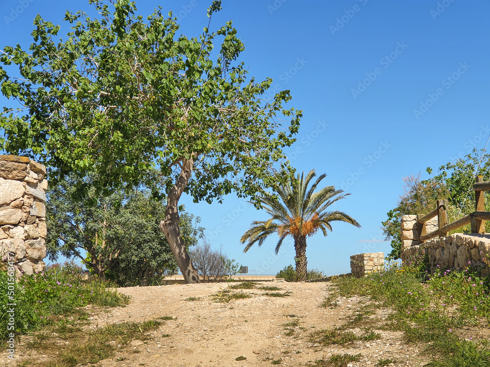 Vega Baja del Segura - Guardamar del Segura - Molino Harinero de San Antonio, Azud y Puente de Hierro, junto al río Segura. Vega Baja del Segura - Guardamar del Segura - Molino Harinero de San Antonio, Azud y Puente de Hierro, junto al río Segura.