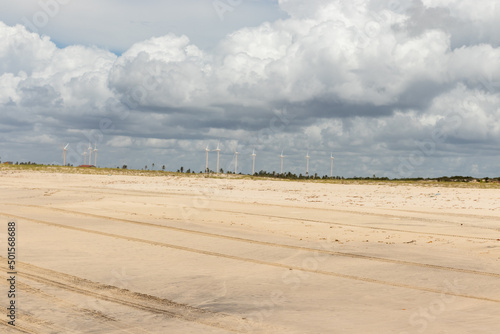 Brazilian beach with wind farm, dunes and vegetation