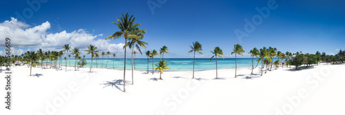 Beautiful tall coconut palms at Juanillo beach, Dominican Republic. Travel destination. Panorama view © photopixel