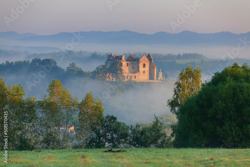 ruins of the Discalced Carmelite Monastery in Zagórz