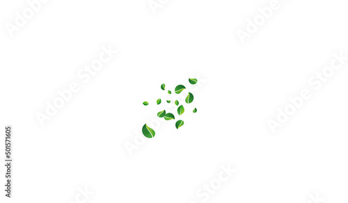 Green Foliage Fly Vector White Background. Swirl