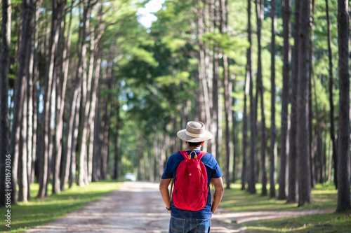 A traveler walking in pine forest at Suan Son Bor Keaw, Chiang mai, Thailand photo