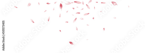 Purple Flower Petal Vector White Background.