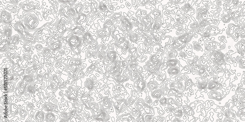 The stylized height of the topographic contour in lines and contours. The concept of a conditional geography scheme and the terrain path .White black topographic map pattern