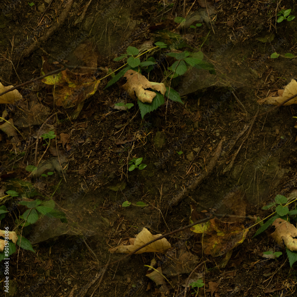 ground, seamless forest textures. ground, seamless forest textures.