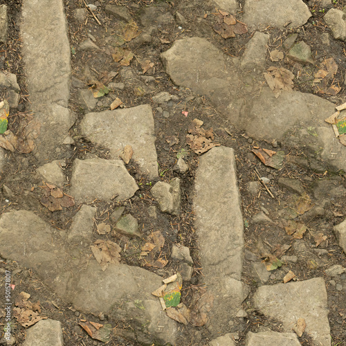 stone road, seamless forest textures. 
