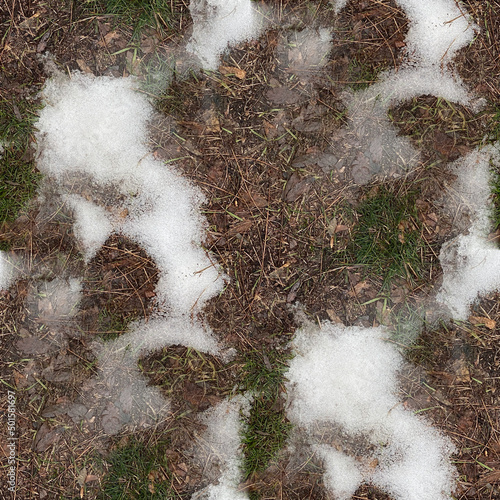 snow on the grass, seamless forest textures. 