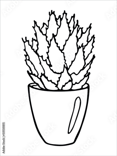 Сute hand drawn houseplant in a pot clipart. Plant illustration isolated on white background. Cozy home doodle.