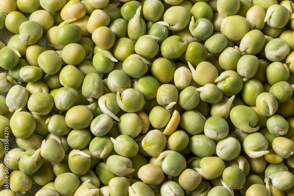 Raw Green Organic Alaskan Peas