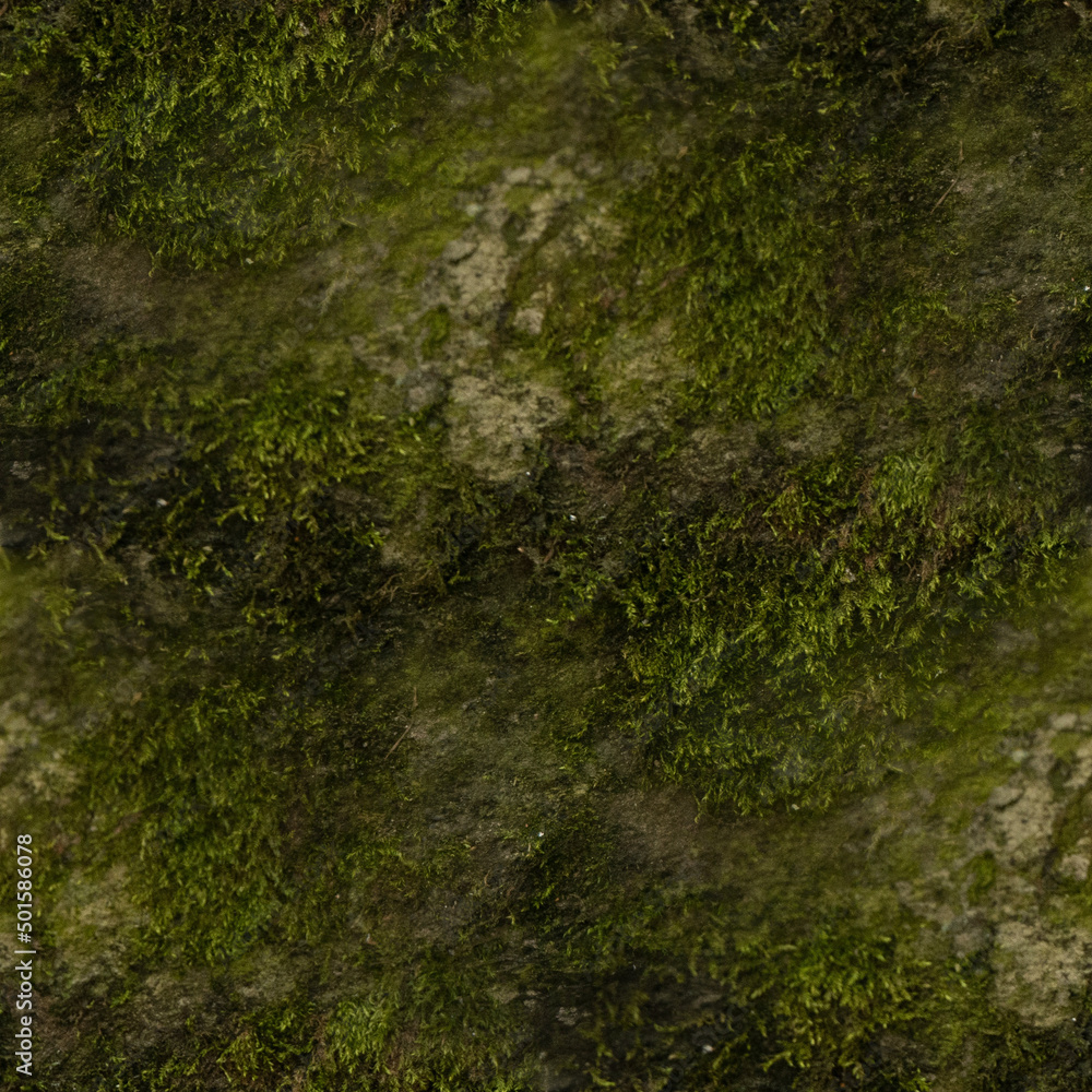 green moss background, seamless forest textures. green moss background, seamless forest textures.