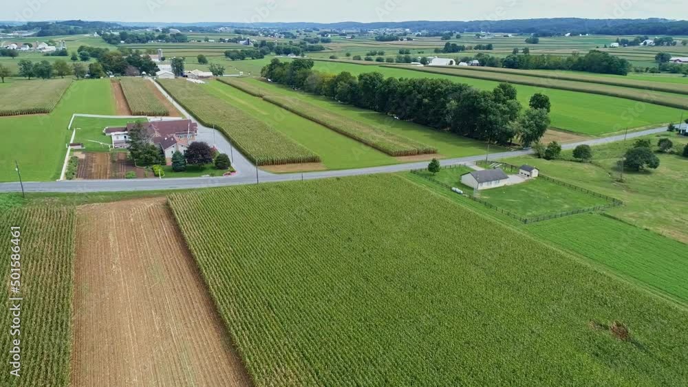An Aerial View of Corn Fields and Fertile Farmlands and Farms on a Sunny Summer Day An Aerial View of Corn Fields and Fertile Farmlands and Farms on a Sunny Summer Day