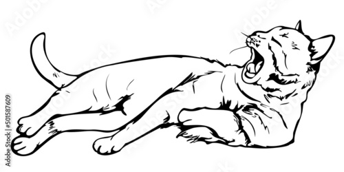 Vector illustration of yawning cat. Hand drawn cat.