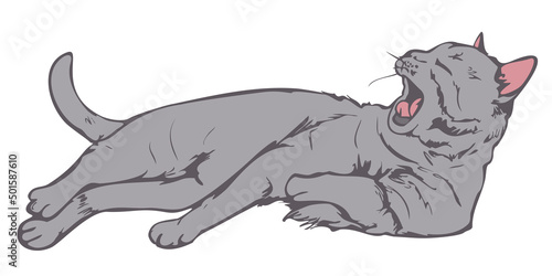 Vector illustration of hand drawn cat. Yawning cat colored and depicted by a line.