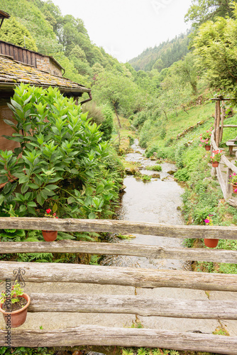A beautiful stream surrounded by vegetation as it passes through the Asturian village of As Veigas