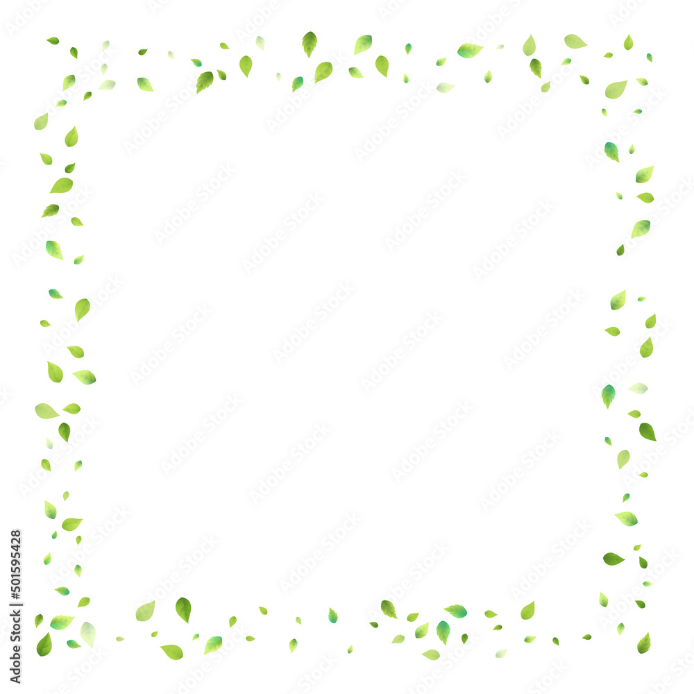 Leaves Green Falling Flying Foliage Leaf Tea Mint Leaves Green Falling Flying Foliage Leaf Tea Mint