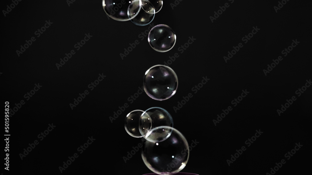 Soap bubble drop or Shampoo bubbles floating like flying in the air black background which represent refreshing moments and gentle soft. Bubbles drops for soap  shampoo or detergent product industry.