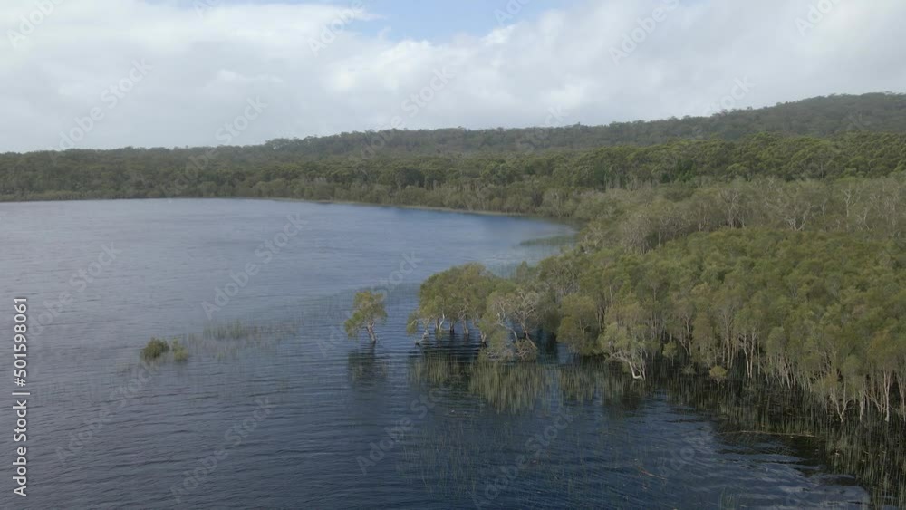 Flying Over Lake Surrounded By Trees, Brown Lake On North Stradbroke Island, Queensland, Australia - aerial drone shot Flying Over Lake Surrounded By Trees, Brown Lake On North Stradbroke Island, Queensland, Australia - aerial drone shot