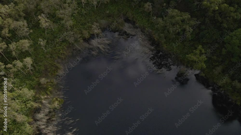 Popular View Of The Vibrant Blue Lake In North Stradbroke Island, Queensland During The Day In Australia. Aerial Pullback