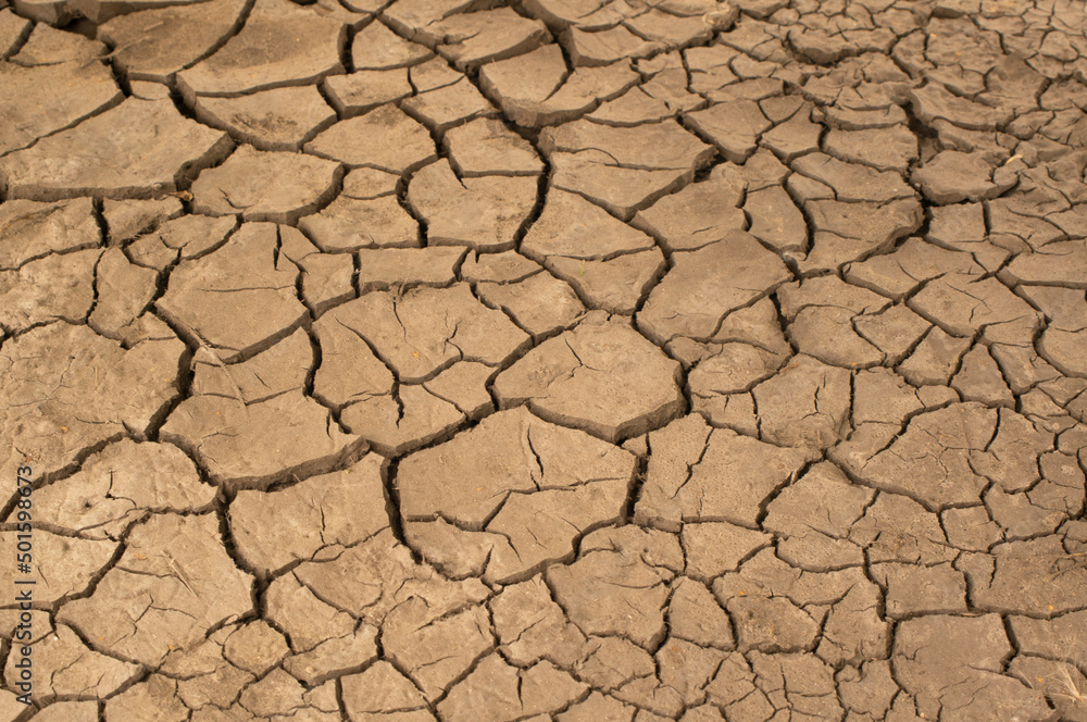 Dried cracked earthen soil, earth texture closeup Dried cracked earthen soil, earth texture closeup
