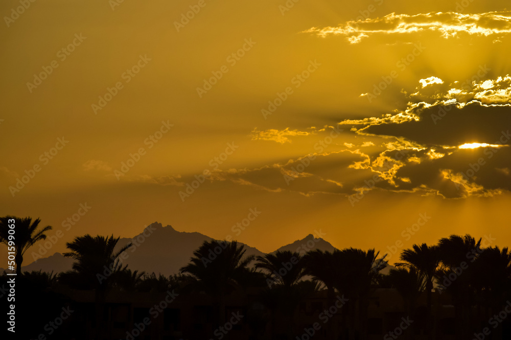 Golden tropical sunset over silhouette of palm trees and mountains. Sun's rays break through clouds. Magnificent landscape, beauty in nature. Copy space.