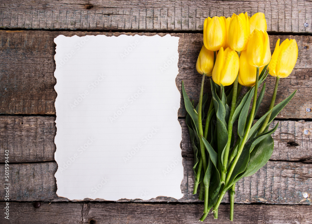 Empty sheet of paper and tulips. Copy space