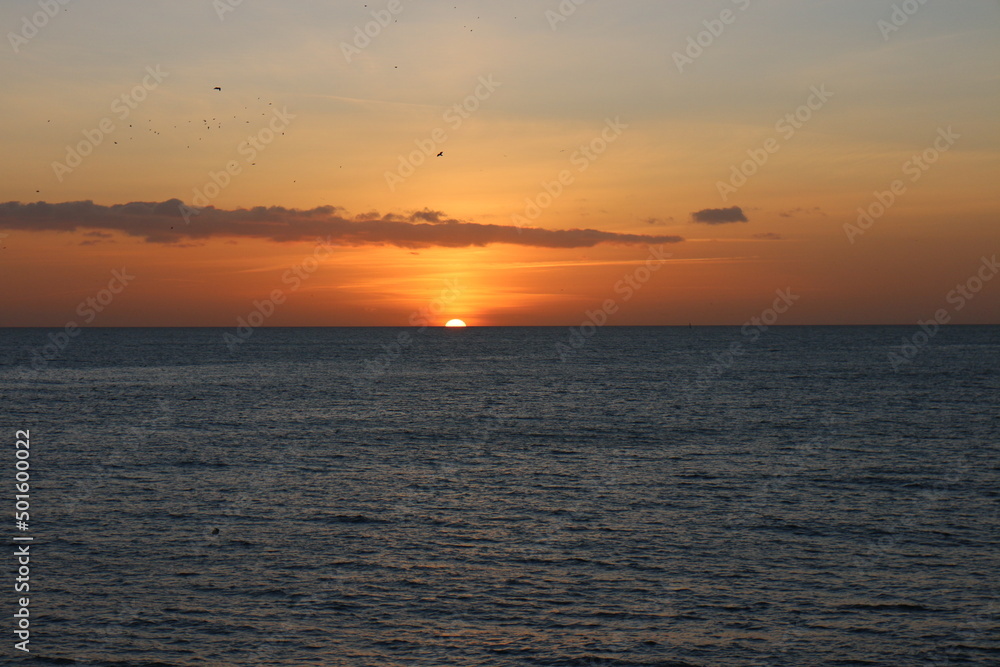 Birds flying during sunset landscape in Brighton ocean
