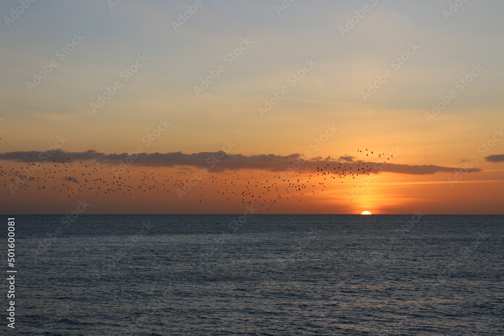 Birds flying during sunset landscape in Brighton ocean, sky with clouds