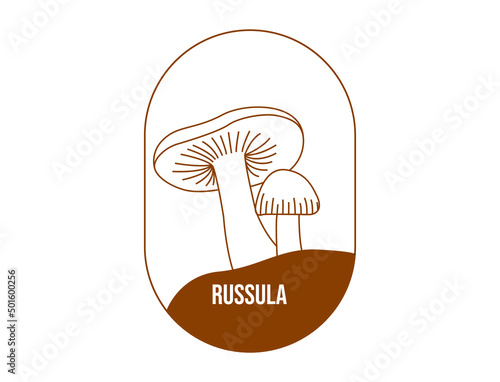 russula mushroom line art vector illustration 