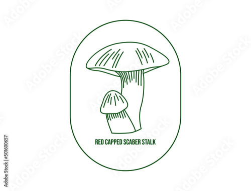 red-capped scaber stalk mushroom line art vector illustration 
