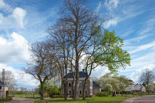 Urban landscape Gieterstraat in Rolde province of Drenthe, Netherlands with original monumental buildings and mature still bare trees in spring against blue sky with cumulus clouds photo