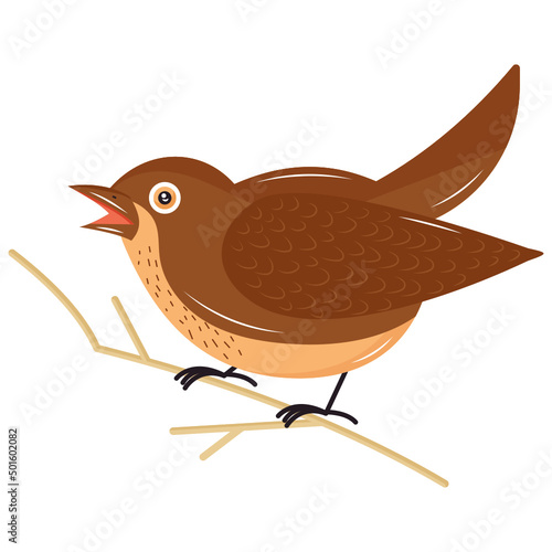 Oriole 