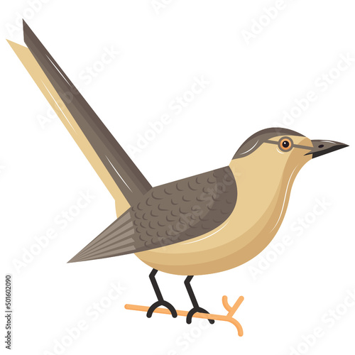 Catbird 