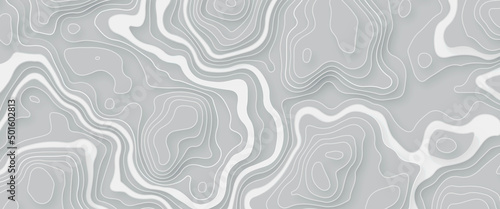  Topographic White wave paper curved reliefs abstract background, Abstract topographic contours map background, Abstract topographic map on white background. Lines contour map. Map line . 