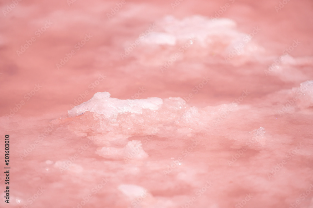 Fototapeta premium Pink salt crystals. Natural pink salt lake texture. Salt mining. Extremely salty pink lake, colored by microalgae with crystalline salt depositions