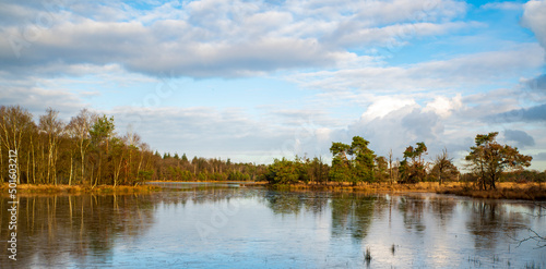 wide angle forest landscape with water, blue sky and clouds