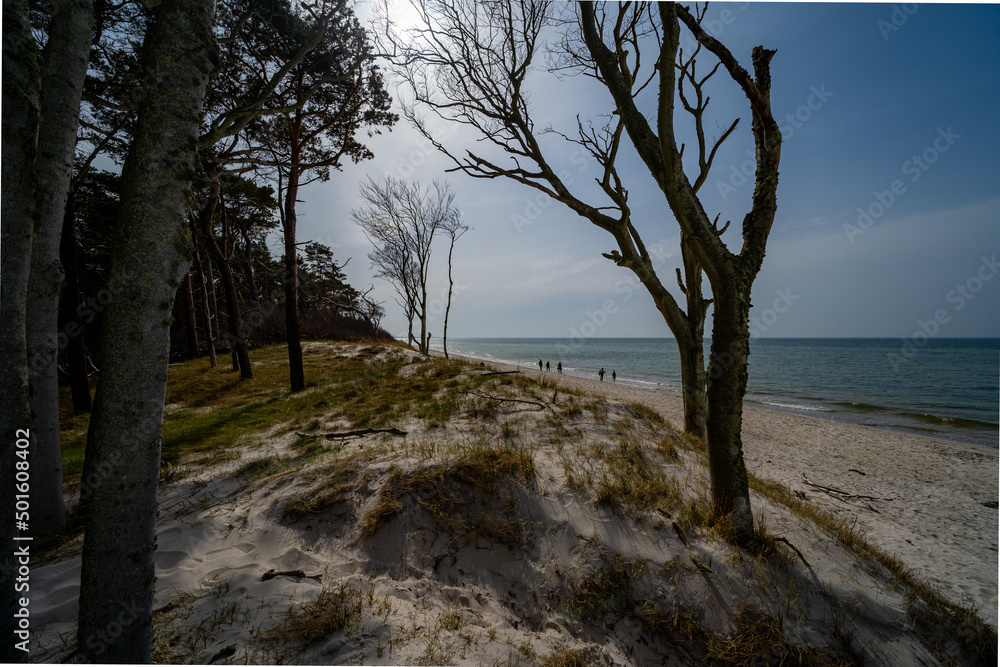 Prerow Weststrand Zingst Darß Ostsee Rostock Warnemünde Strand Bäume Meer Salzwasser Küste Brandung Steilküste Wolken Gezeiten Himmel Wolken Stralsund Sonnenaufgang Sonnenuntergang Boot Leuchtturm Prerow Weststrand Zingst Darß Ostsee Rostock Warnemünde Strand Bäume Meer Salzwasser Küste Brandung Steilküste Wolken Gezeiten Himmel Wolken Stralsund Sonnenaufgang Sonnenuntergang Boot Leuchtturm