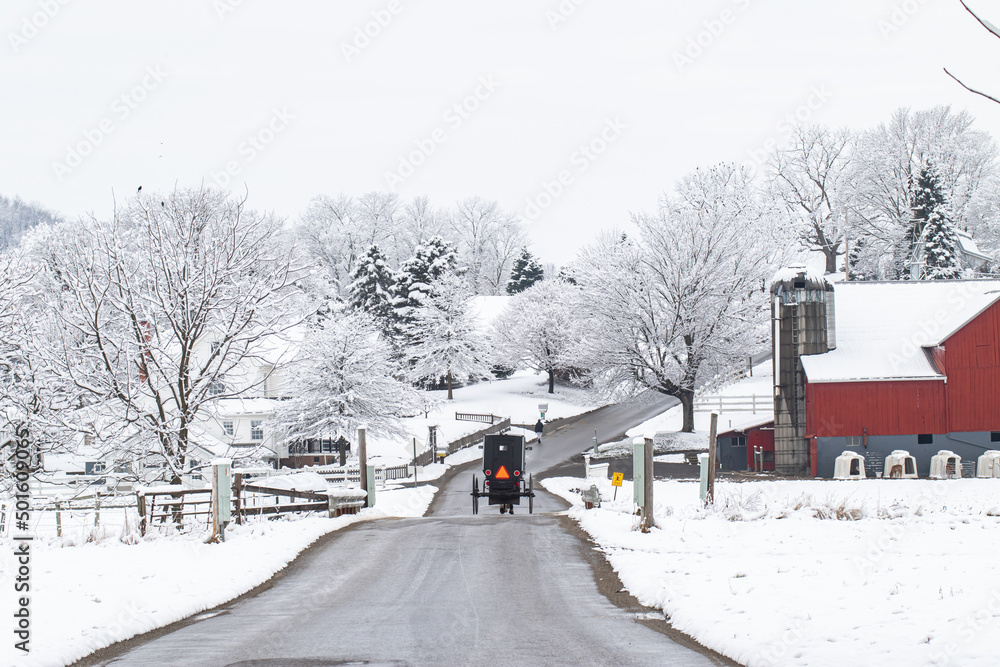 Amish Horse and Buggy Driving Away from Camera on a Snowy Road in Winter Near a Red Barn