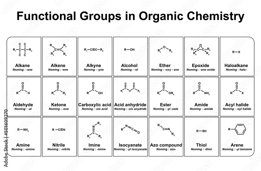 Functional Groups in Organic Chemistry