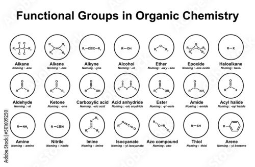 Functional Groups in Organic Chemistry. Vector Illustration.
