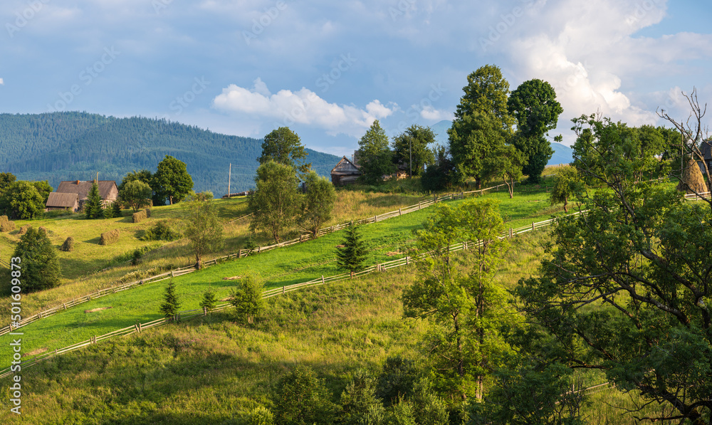 Obraz premium Picturesque summer Carpathian mountain countryside, Ukraine.