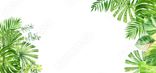 Horizontal watercolor frame of tropical plants. Palm leaves, monstera leaves, Homalomena, Schefflera. Hand-drawn exotic tropical background. Place for text. Best for invitation, greeting card, banner