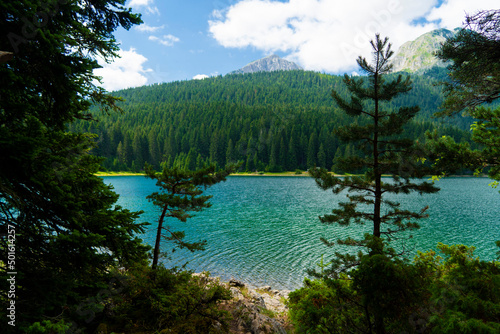 Montenegro. Zabljak. Durmitor National Park. Popular tourist spot. Black lake surrounded by green coniferous forest. Beauty of nature concept background