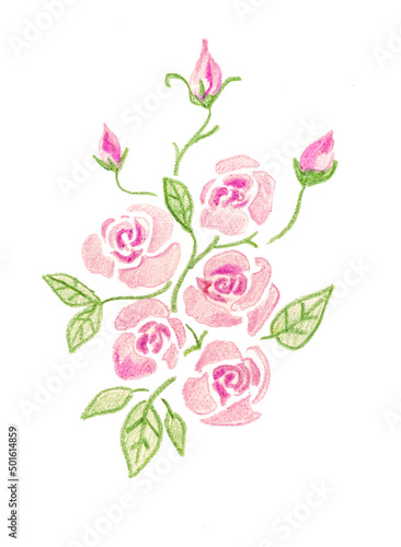 set of pink roses