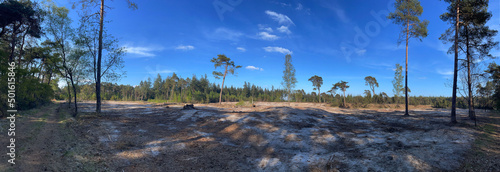 Panorama from deforesting at the forest around Ommen photo