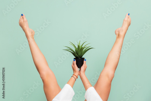 Woman lifted her beautiful legs apart, holding a prickly plant between her legs. Green background. The concept of hair removal, depilation, epilation and shaving photo