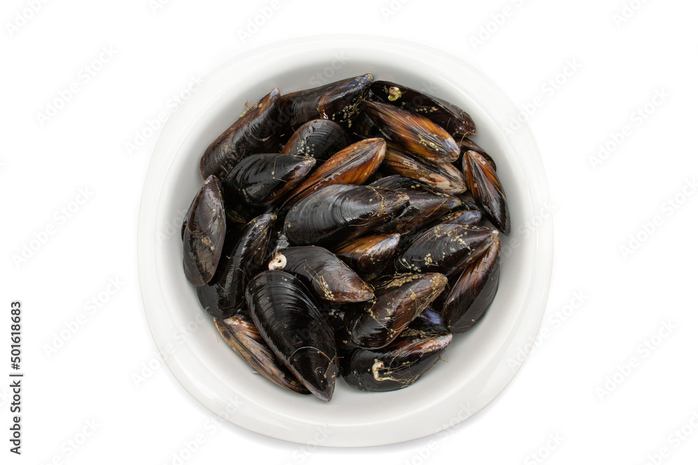 Raw mussels in a white bowl, isolated on white background. It feeds on