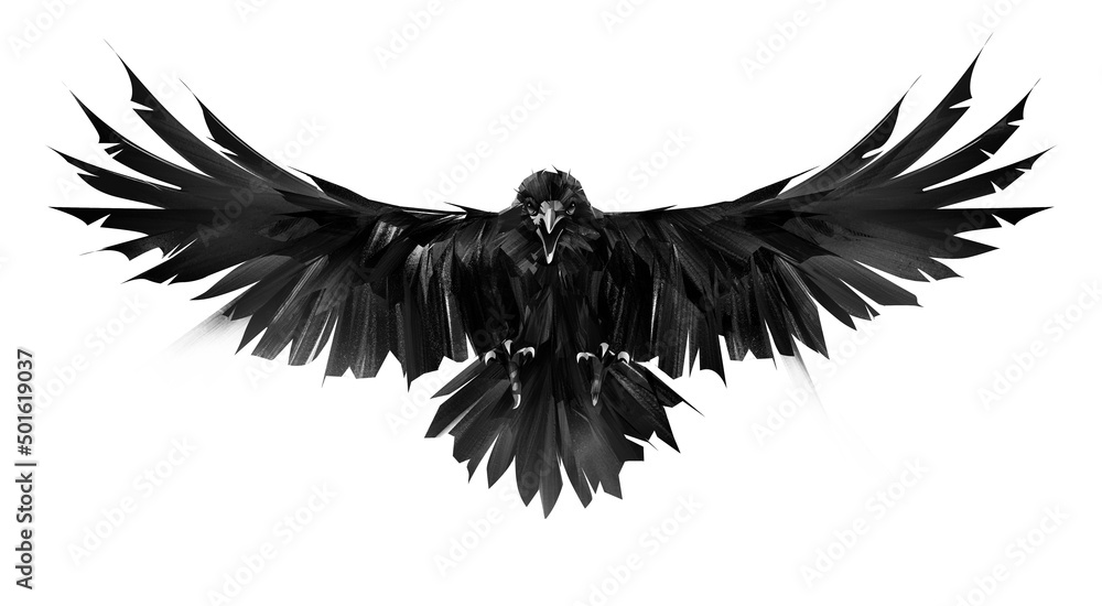 Obraz raven bird in flight painted on white background